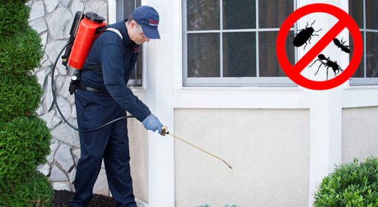 Hayrat Hamam Böceği İlaçlama böcek ilaçlama ve haşere kontrolü — ilaclama-tr.com
